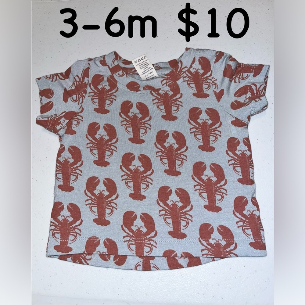 EUC Kate Quinn Short Sleeve Essential Boxy Tee I Lobster